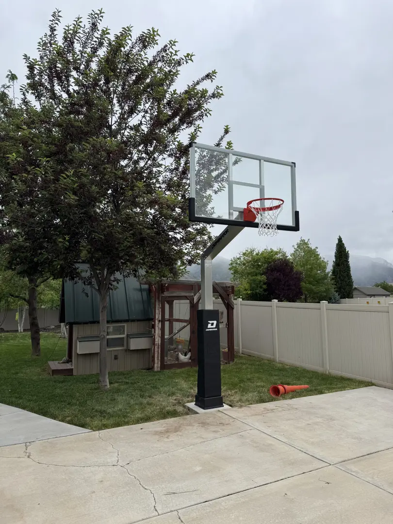Backyard basketball hoop with a chicken coop and tree.