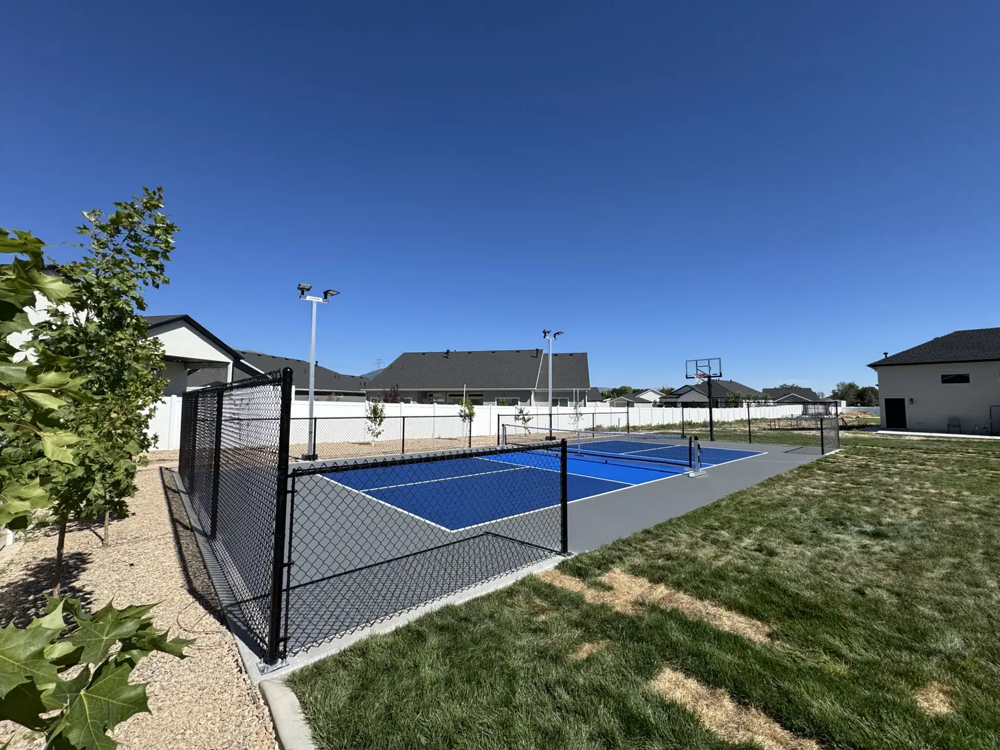 Blue pickleball court with basketball hoop and fence in a residential backyard.